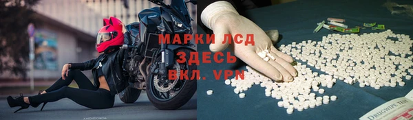 гидра Верея