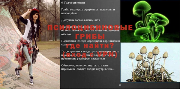 крисы Верхнеуральск