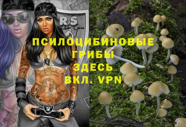 гидра Верея